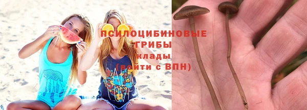винт Богородск