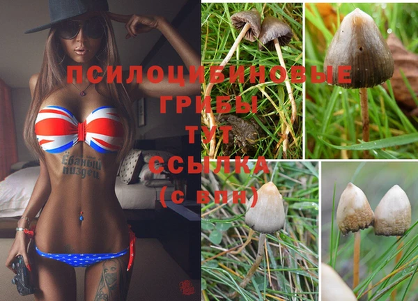метадон Богородицк